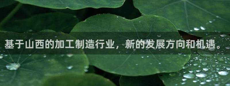 彩名堂平台