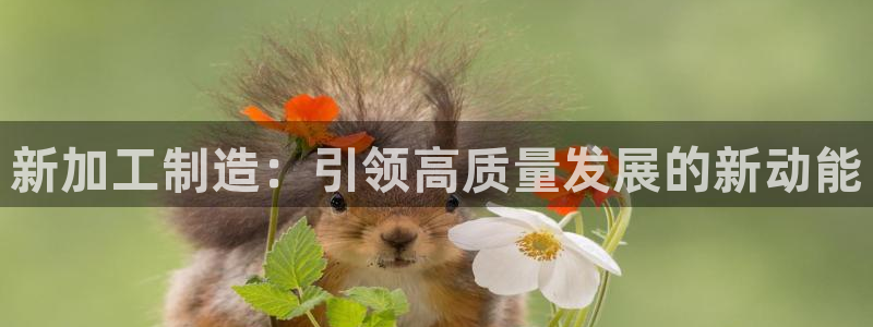 彩名堂官方软件下载