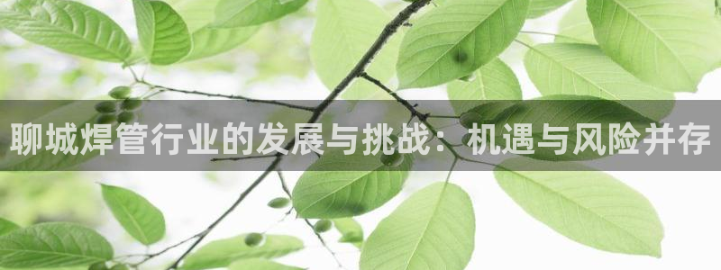 彩名堂计划怎么看