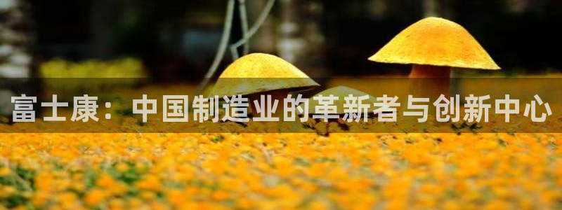 彩名堂一直不出结果怎么回事呀