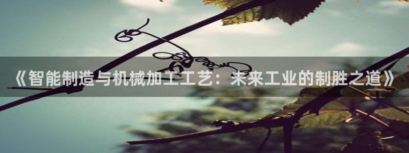 彩名堂客服电话号码