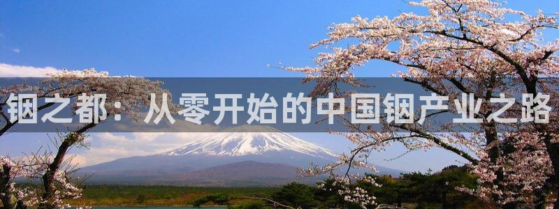 彩名堂最新免费计划官网