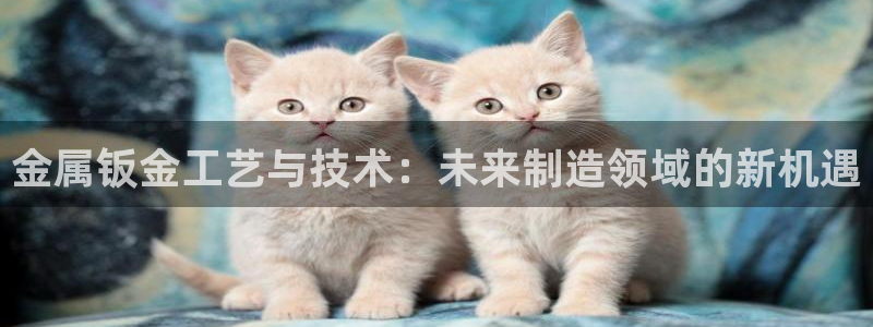 彩名堂计划怎么买胜率高