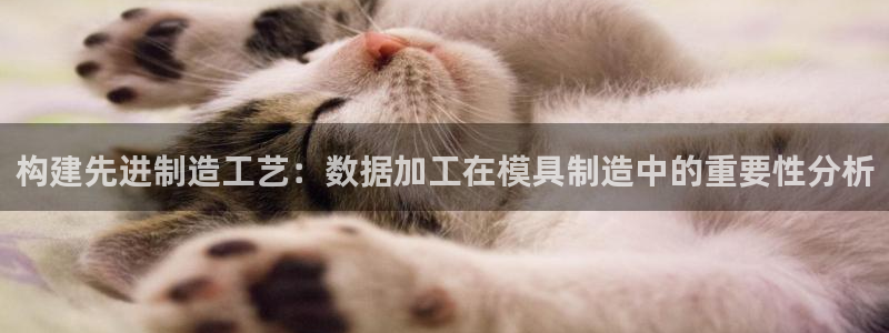 彩名堂v1.0.6