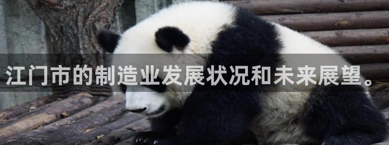 彩名堂人工计划怎么找不到下载了?