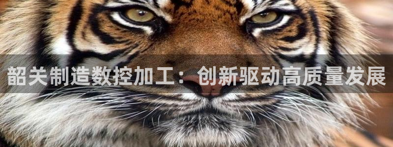 彩名堂app彩名堂客户端