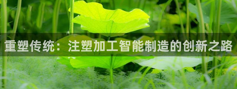 彩名堂预测计划软件