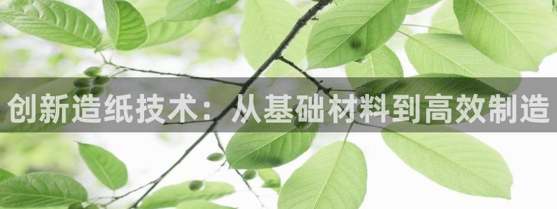 彩名堂最新版www