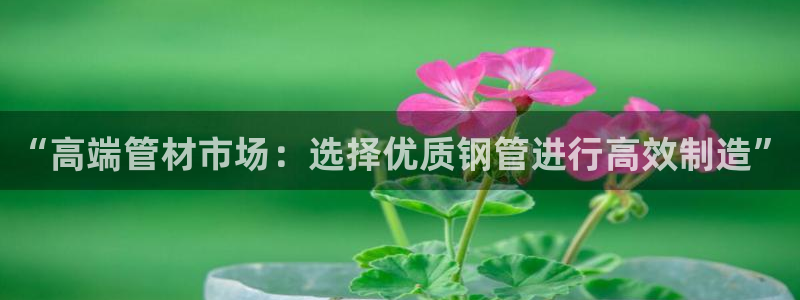 为什么彩名堂今天不能用