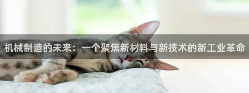 彩名堂官网计划客户端