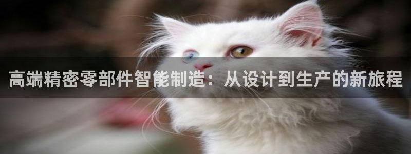 彩名堂最新预测3d