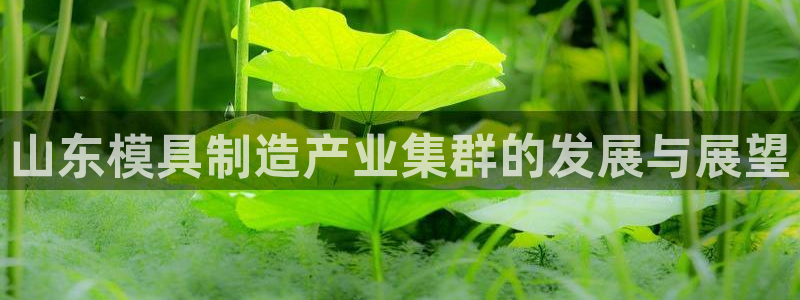 彩名堂免费计划官网购彩计划