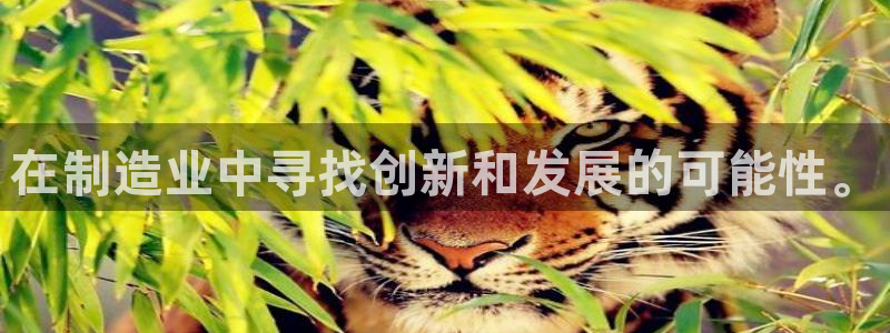 彩名堂计划官方客服