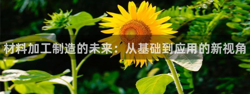 彩名堂是不是坑人的东西