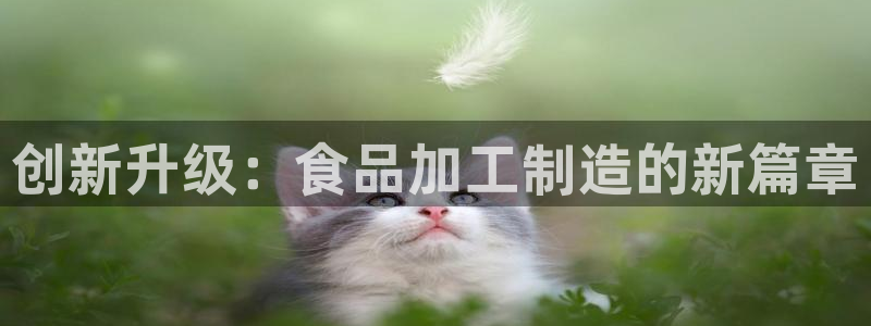 彩名堂平台
