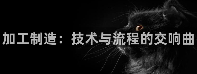 cmt彩名堂