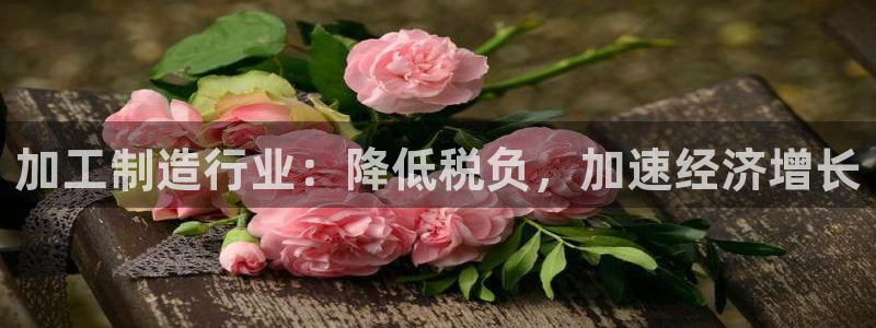 彩名堂怎么选稳定计划产品
