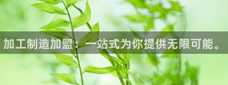 彩名堂计划怎么出的