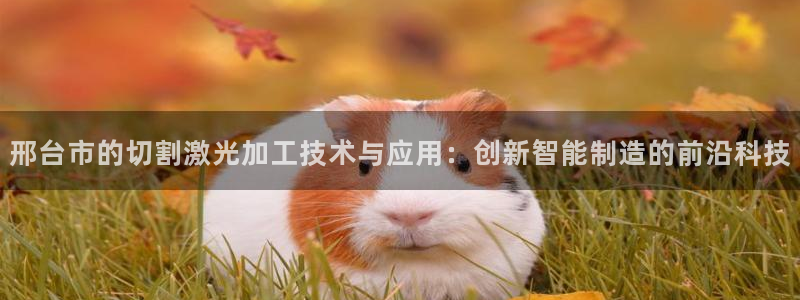 彩名堂安卓客户端官网下载