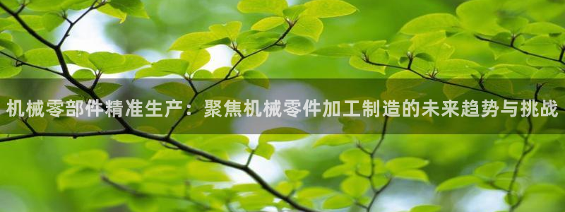 彩名堂移动客户端