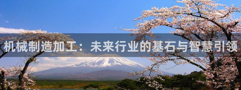 下载苹果手机版彩名堂