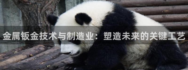 彩名堂的拼音
