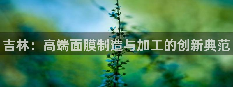 彩名堂好用还是千里马好用