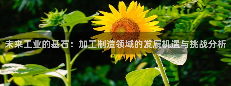 彩名堂改名稻草人了吗