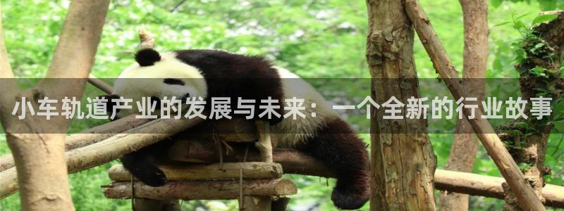 彩名堂客户端是永久免费吗安全吗是真的吗