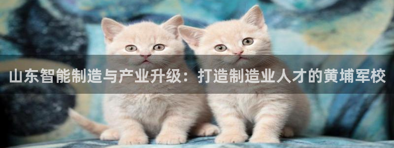 彩名堂计划app安卓免费下载