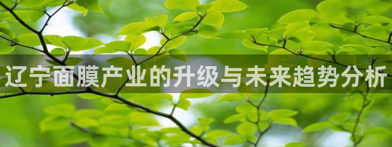 彩名堂官网2