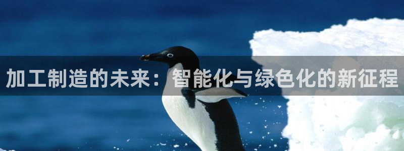 最新彩名堂计划