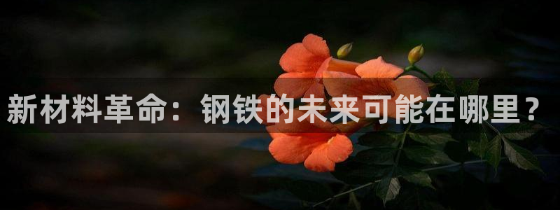 彩名堂人工计划客户端