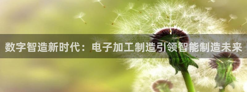 彩名堂预测