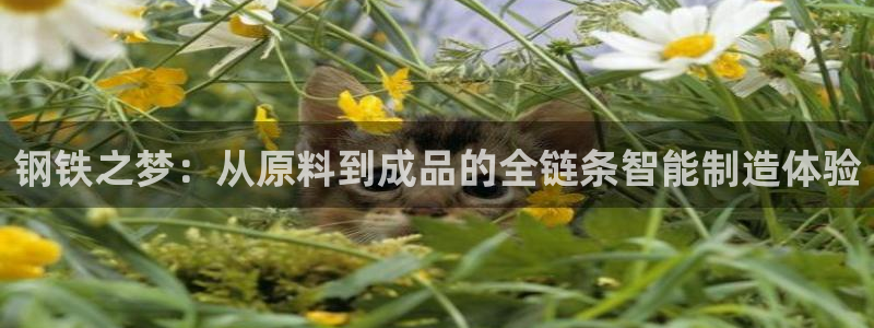 彩名堂和01计划哪个好