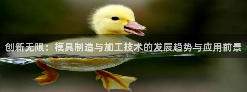 彩名堂计划技巧
