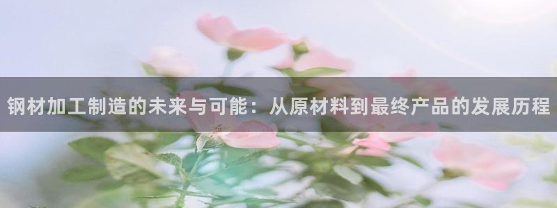 彩名堂01计划
