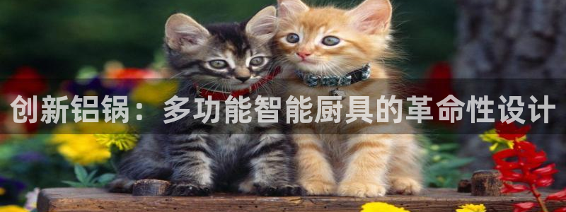 彩名堂怎么选稳定计划产品