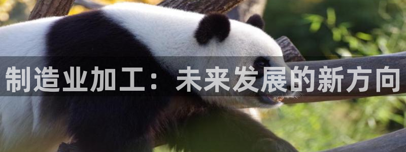 彩名堂计划真的准吗