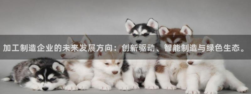 彩名堂官网