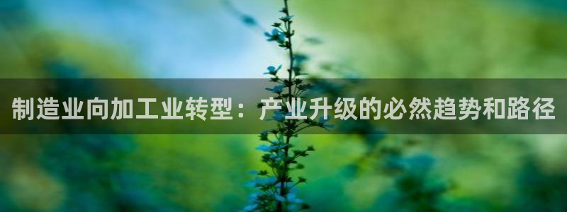 彩名堂双彩网