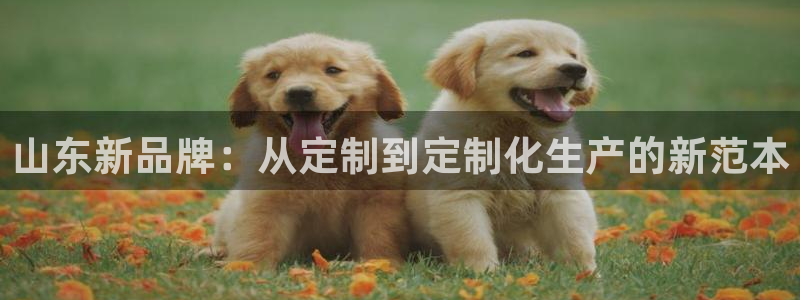 彩名堂官网2