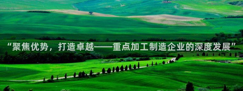 正规彩名堂官网计划01