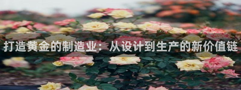 彩名堂网页
