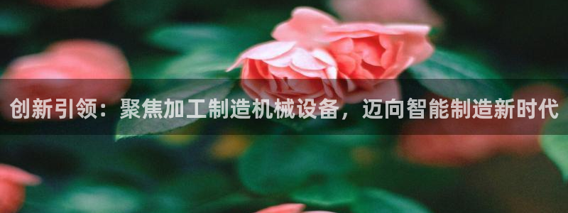 彩名堂幸运飞船计划