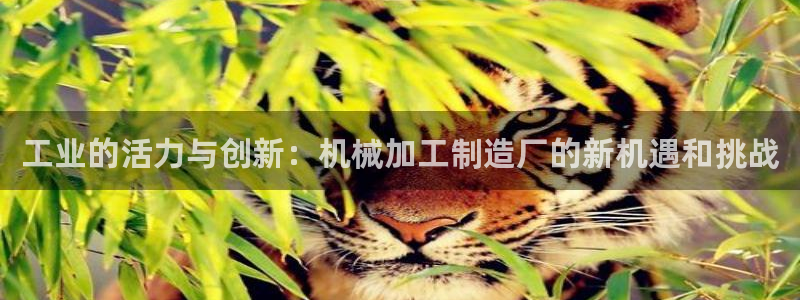 彩名堂官网网页计划