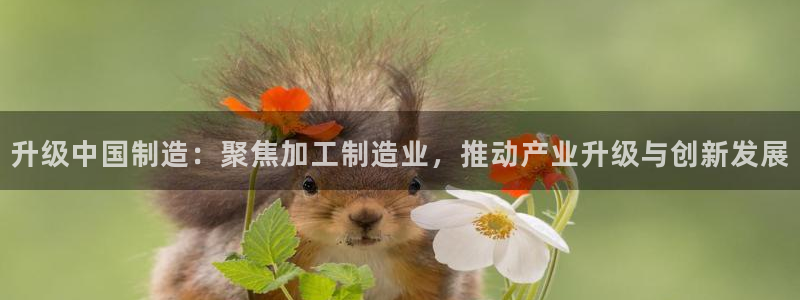 老版本彩名堂计划软件