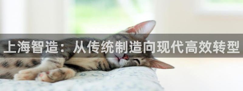 彩名堂计划技巧
