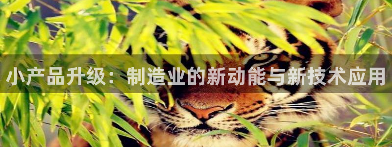 彩名堂是不是坑人的