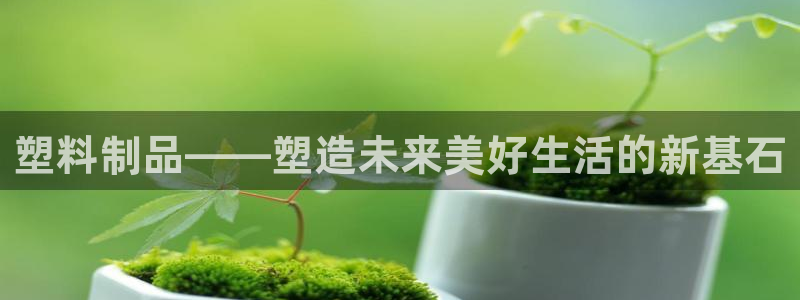 彩名堂免费计划下载